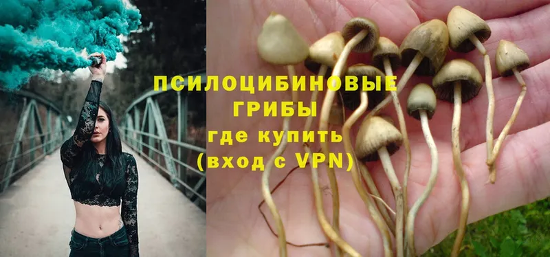 Галлюциногенные грибы MAGIC MUSHROOMS  купить закладку  Белорецк 